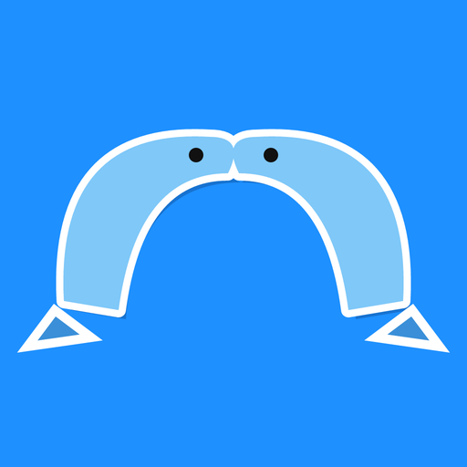 Duet Dolphin logo